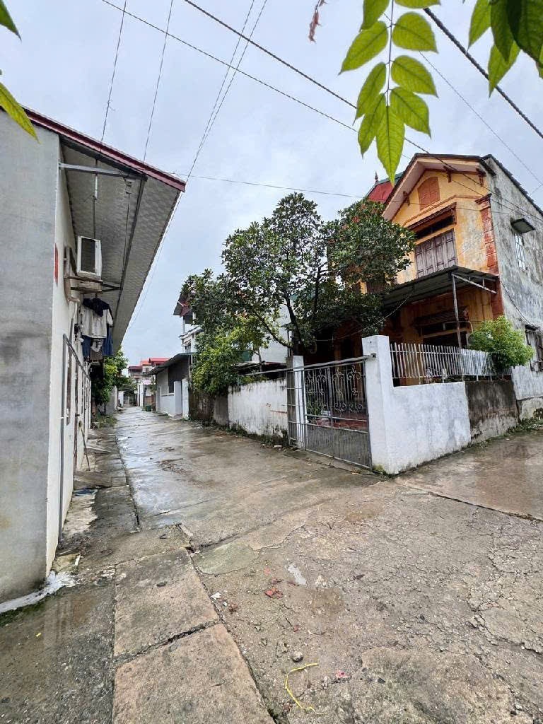 z6978919582516_fb1f1658b0f4d457bae481e646d16b17