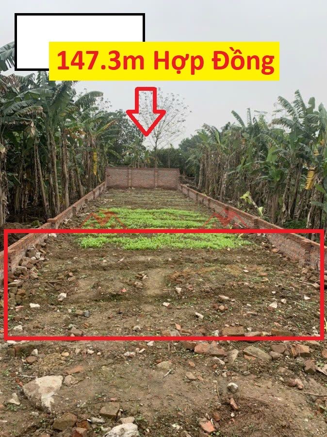 z6979117167055_befa41863323a125c03f338cd2fe5adc