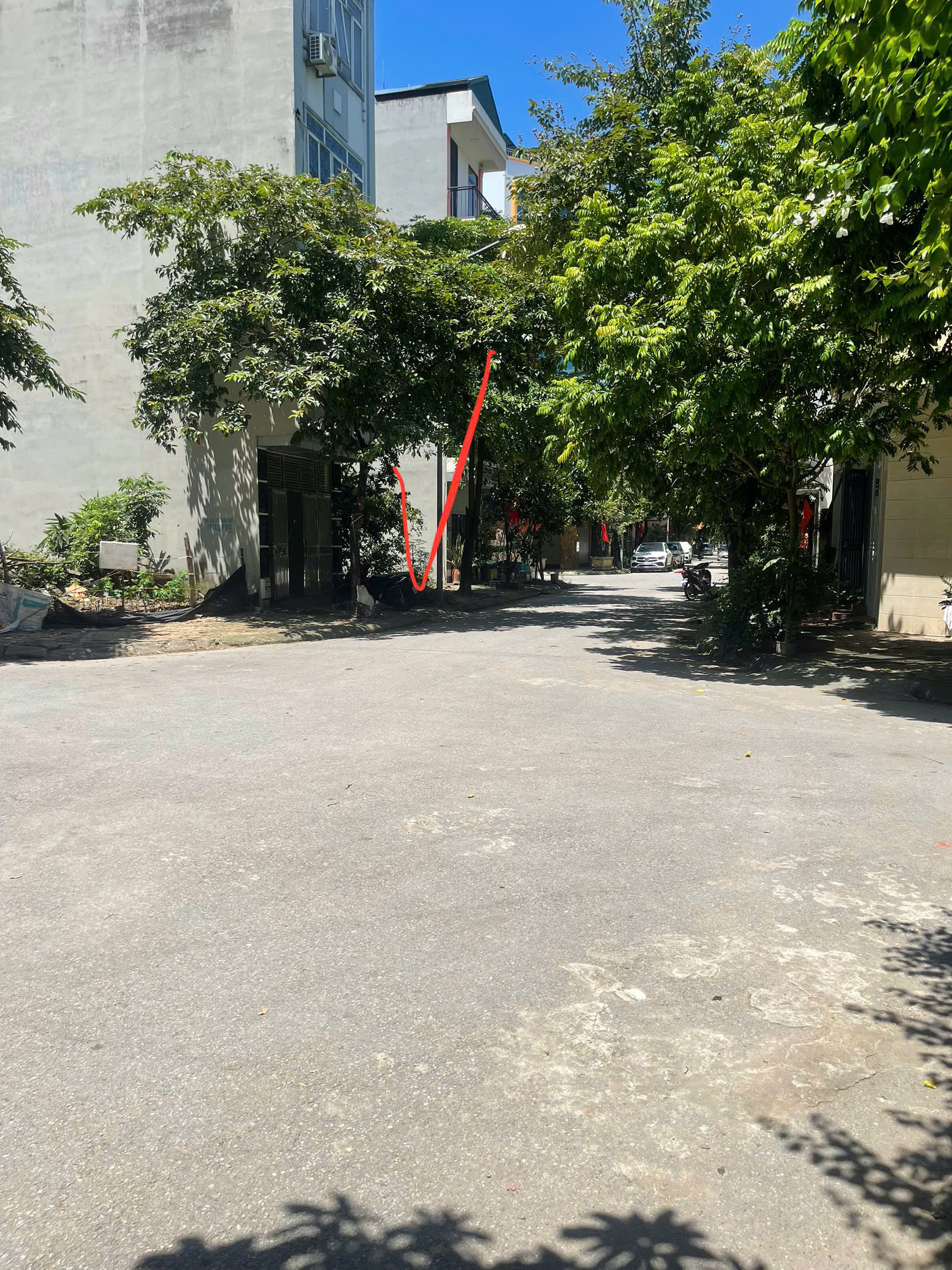 z6979704790810_3cd3643698fcc387367d0a90f461341b