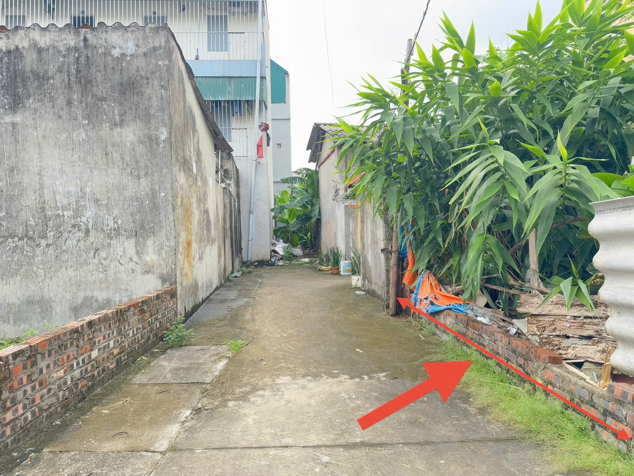 z6981129294389_f5470855583da5c9ac014a3bd0ee5f46