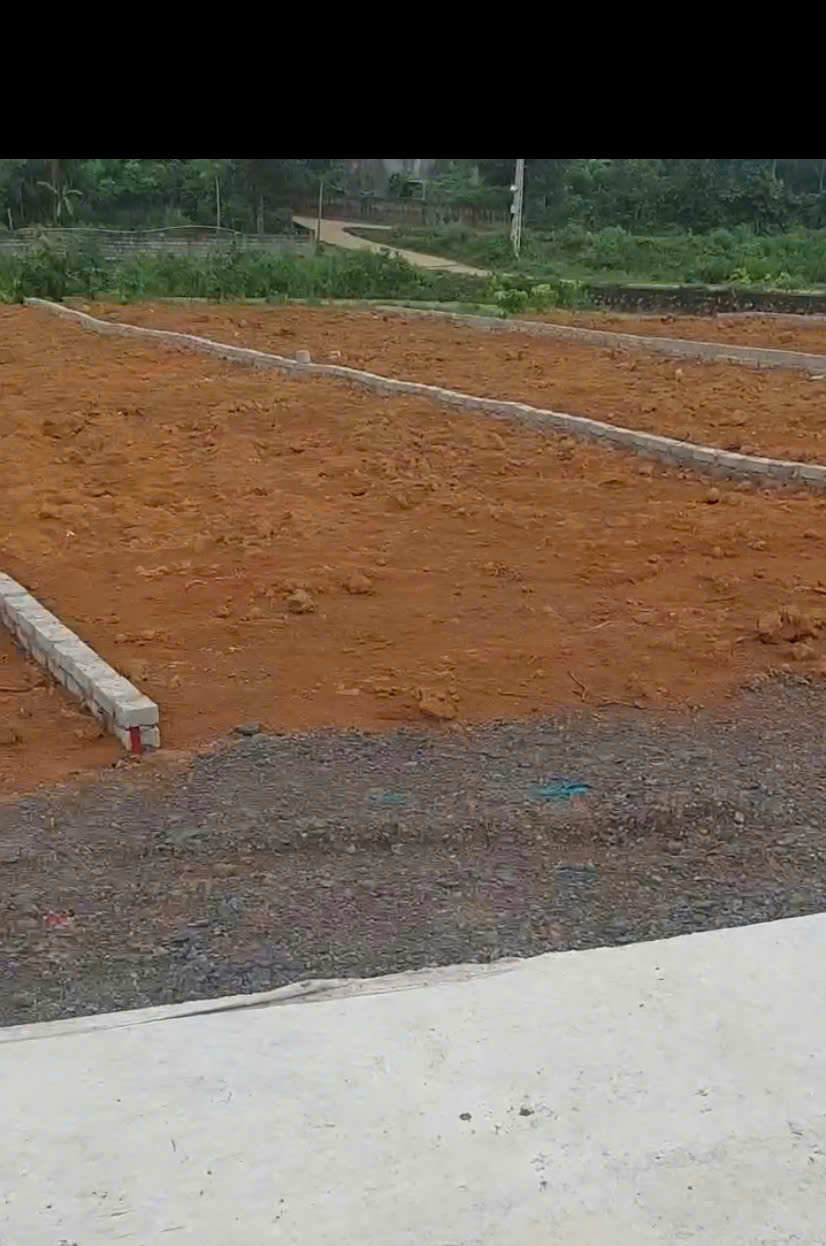 z6981844440973_831aa891472e3a45af8b2a5956898590