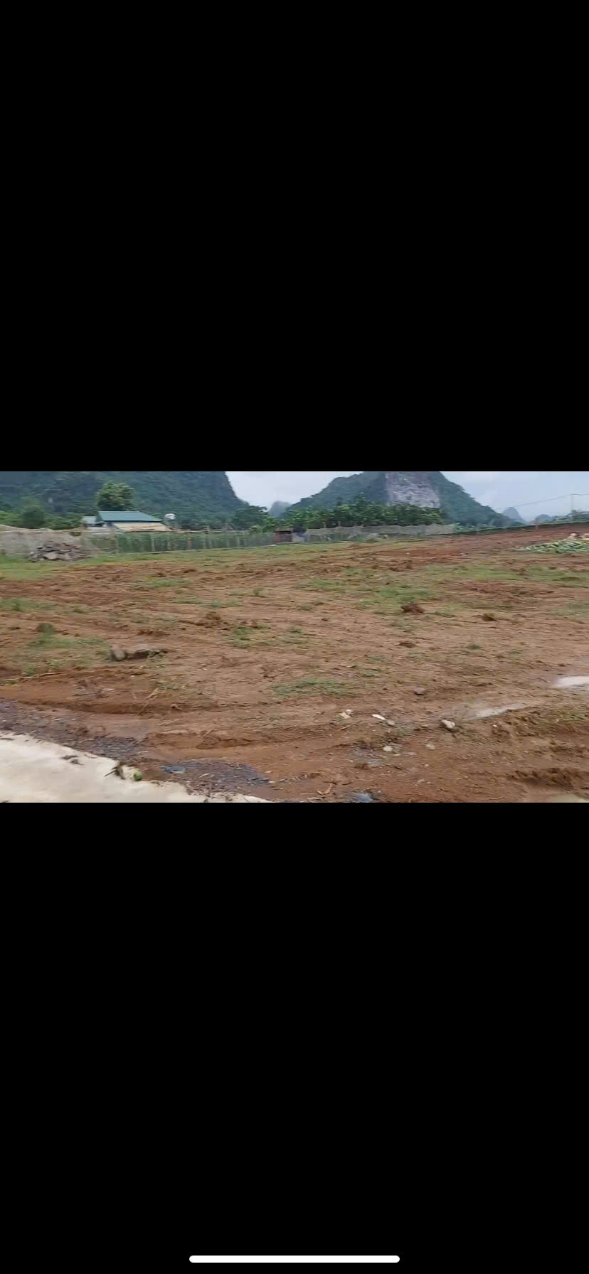 z6981848353163_a75870114fe0795169bf72abe342b201