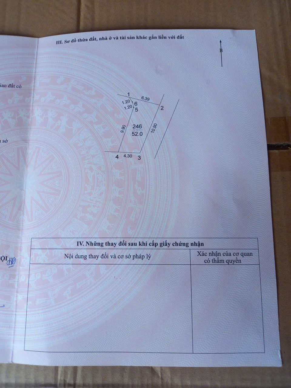 z6982191232554_d5bd52995f232219df77460d0f3297ff