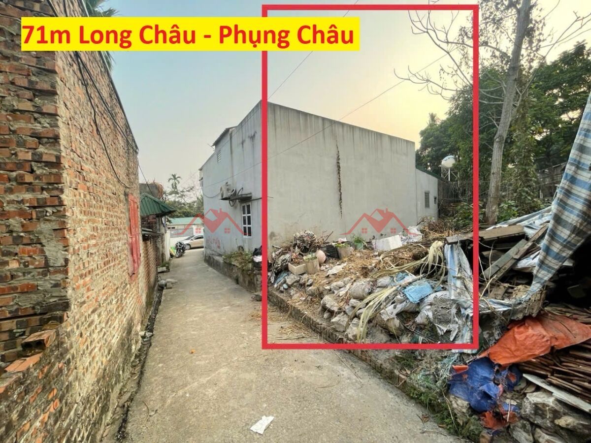 z6982427551985_4b6d10cfde9c6a4c41a05b0ba57e058f