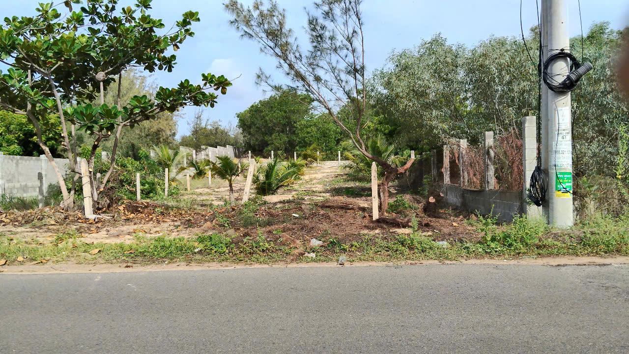 z6985257730248_0cb11db310fe6924f01fc0e71c385b4a