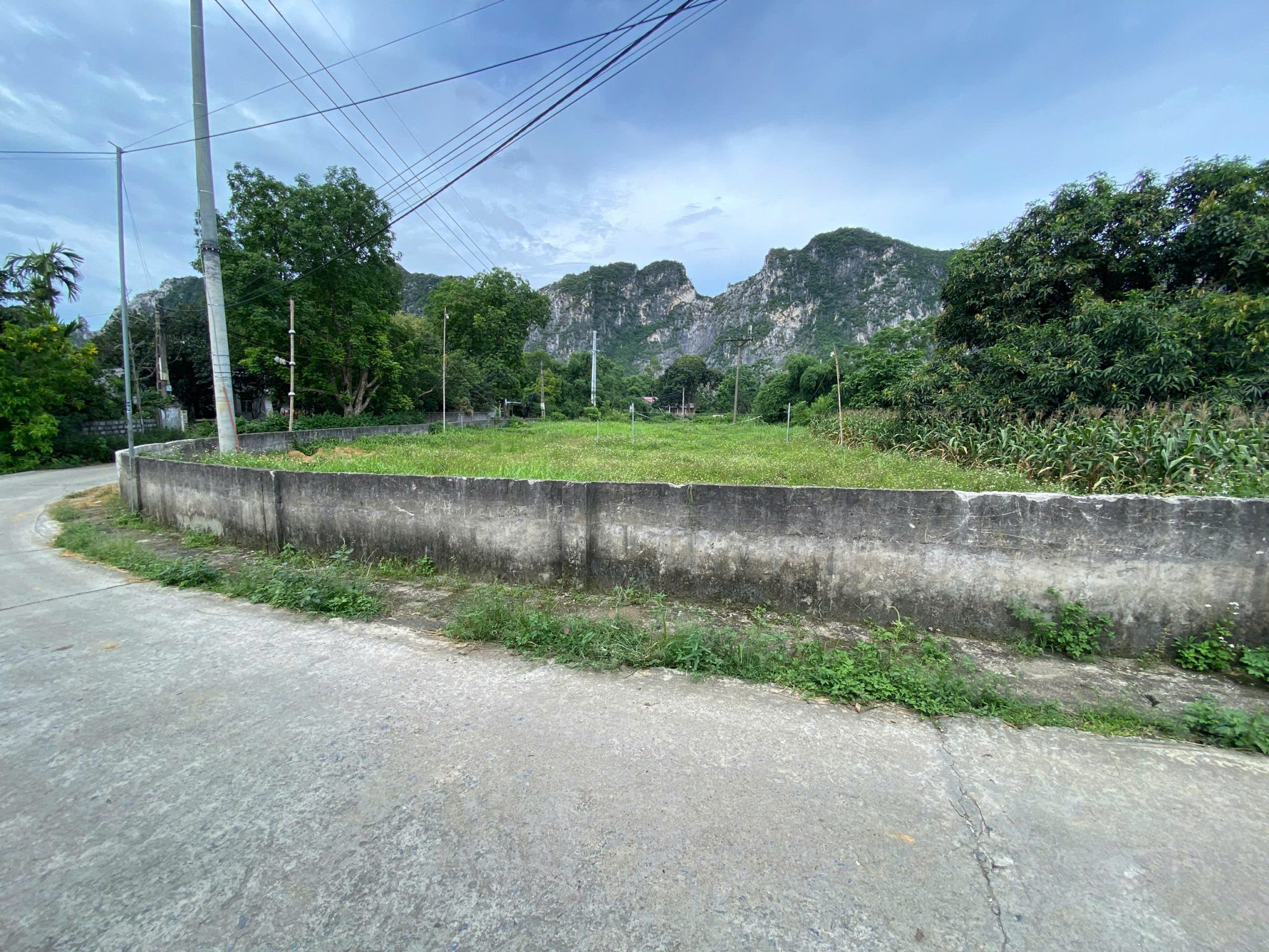 z6985360037336_e48a972274d0676496d807cc1073fa6d-scaled