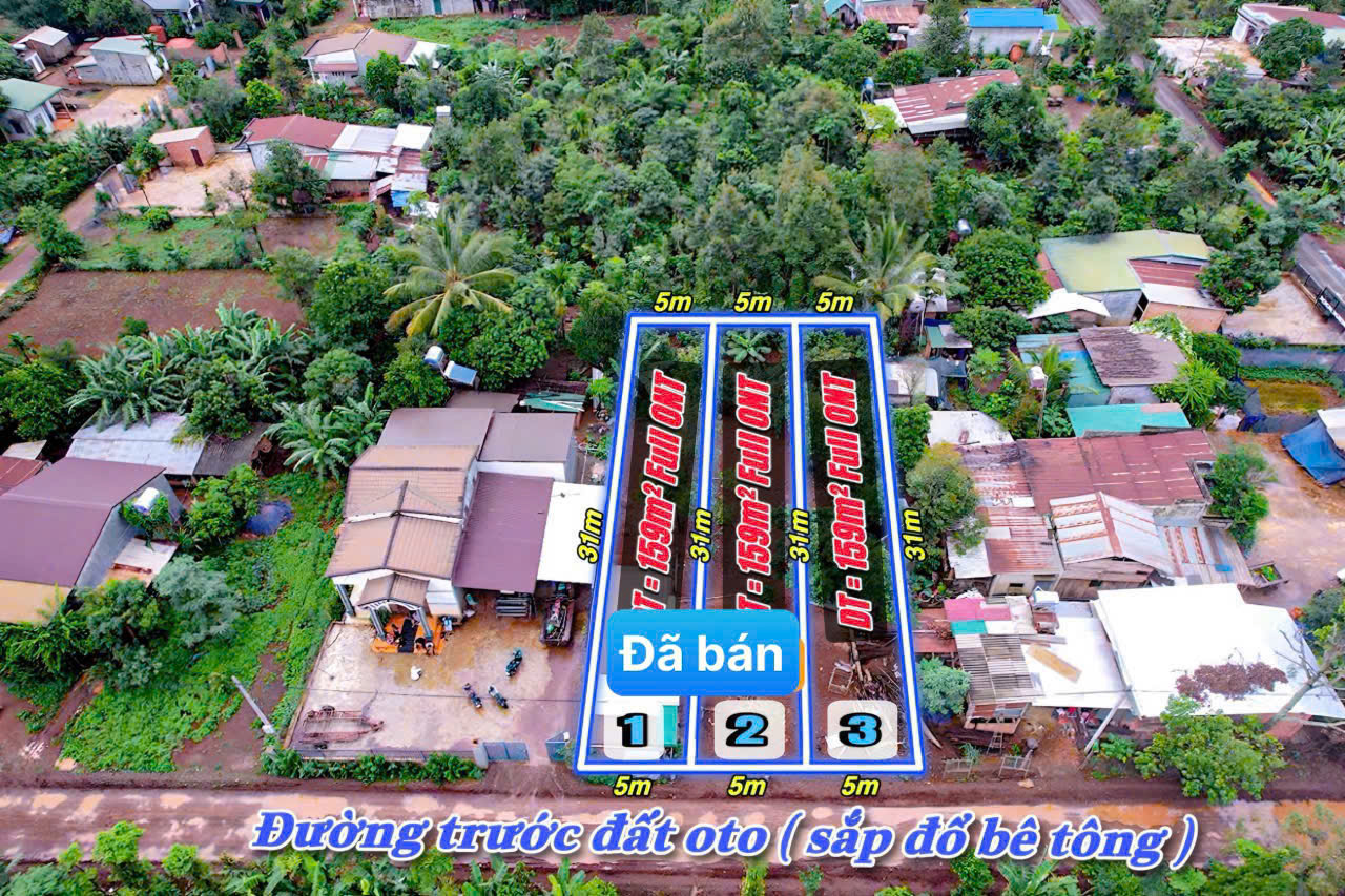 z6988040182488_fa0c58ff3abfac00b7d34b05366185e2