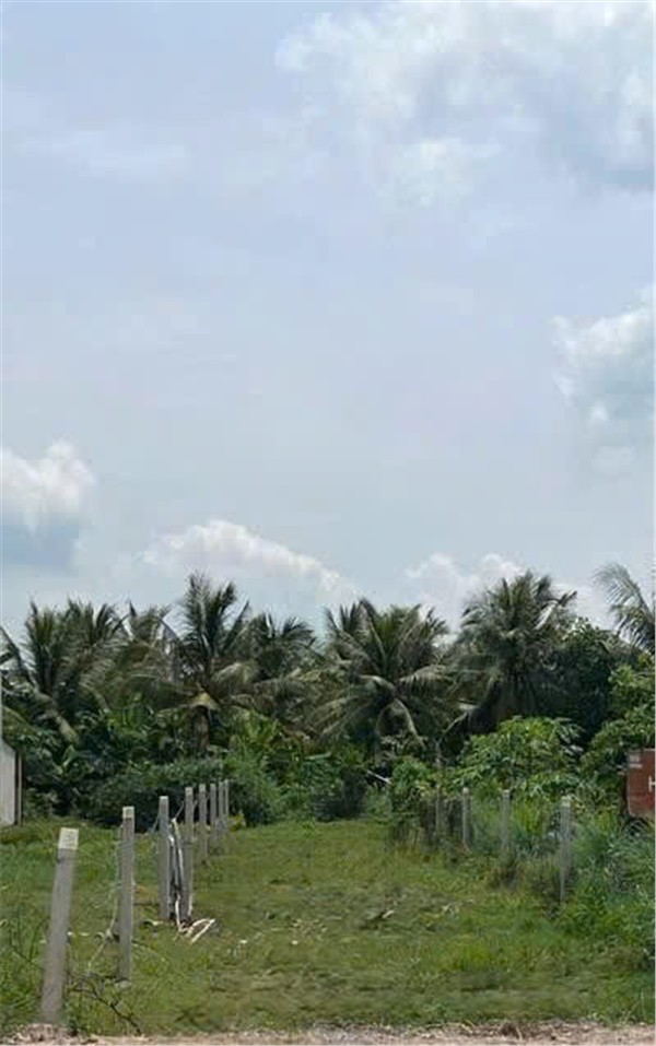 z6988332365013_7ec1631883facbe597a0f7f3a662e2d1