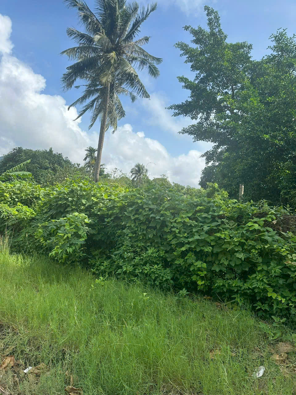 z6991736679744_de77a1bc2ab388f7491725447111bccb