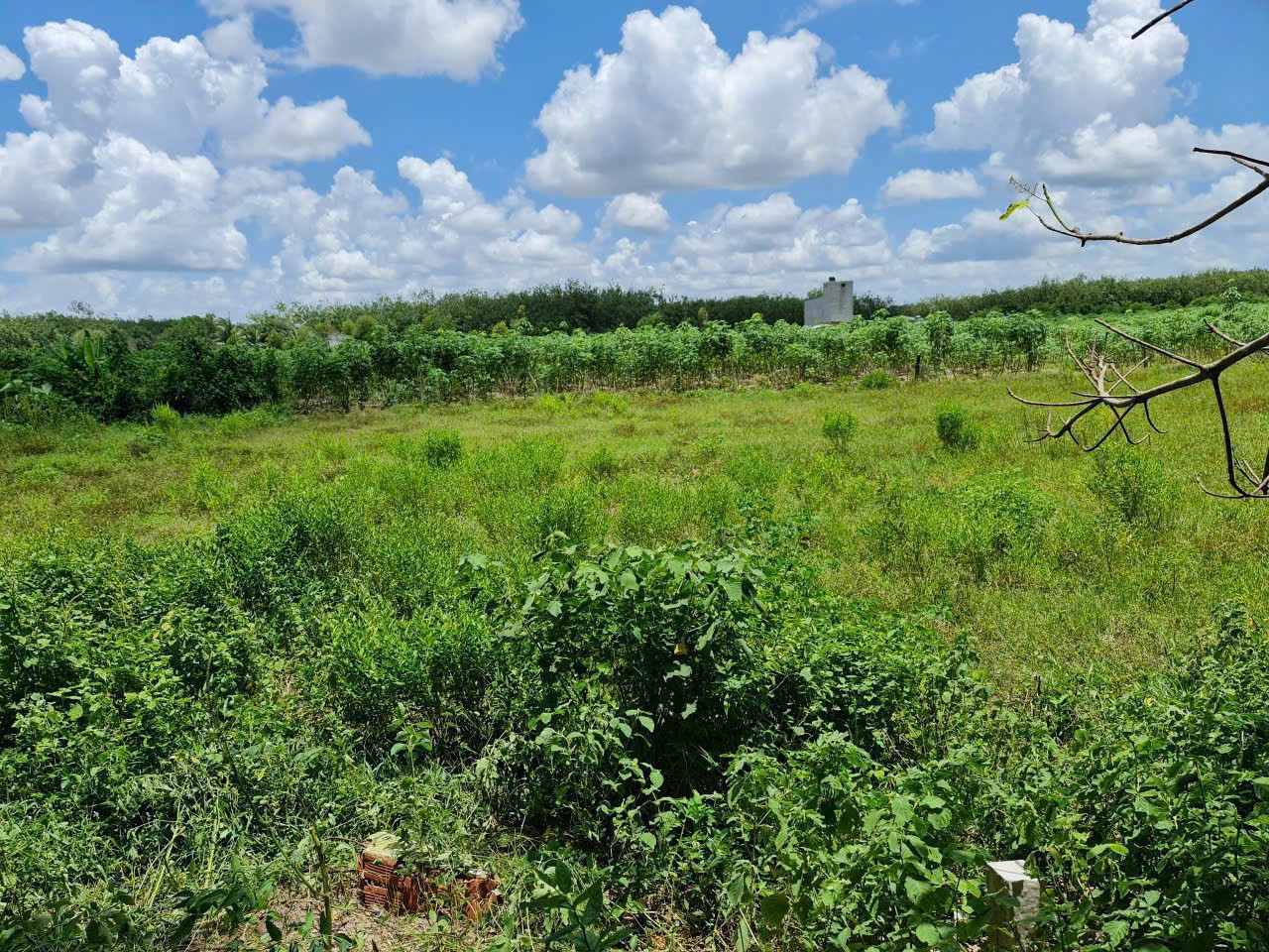 z6992937341968_e44444b84671cf0cc72c8e6476dbe3db