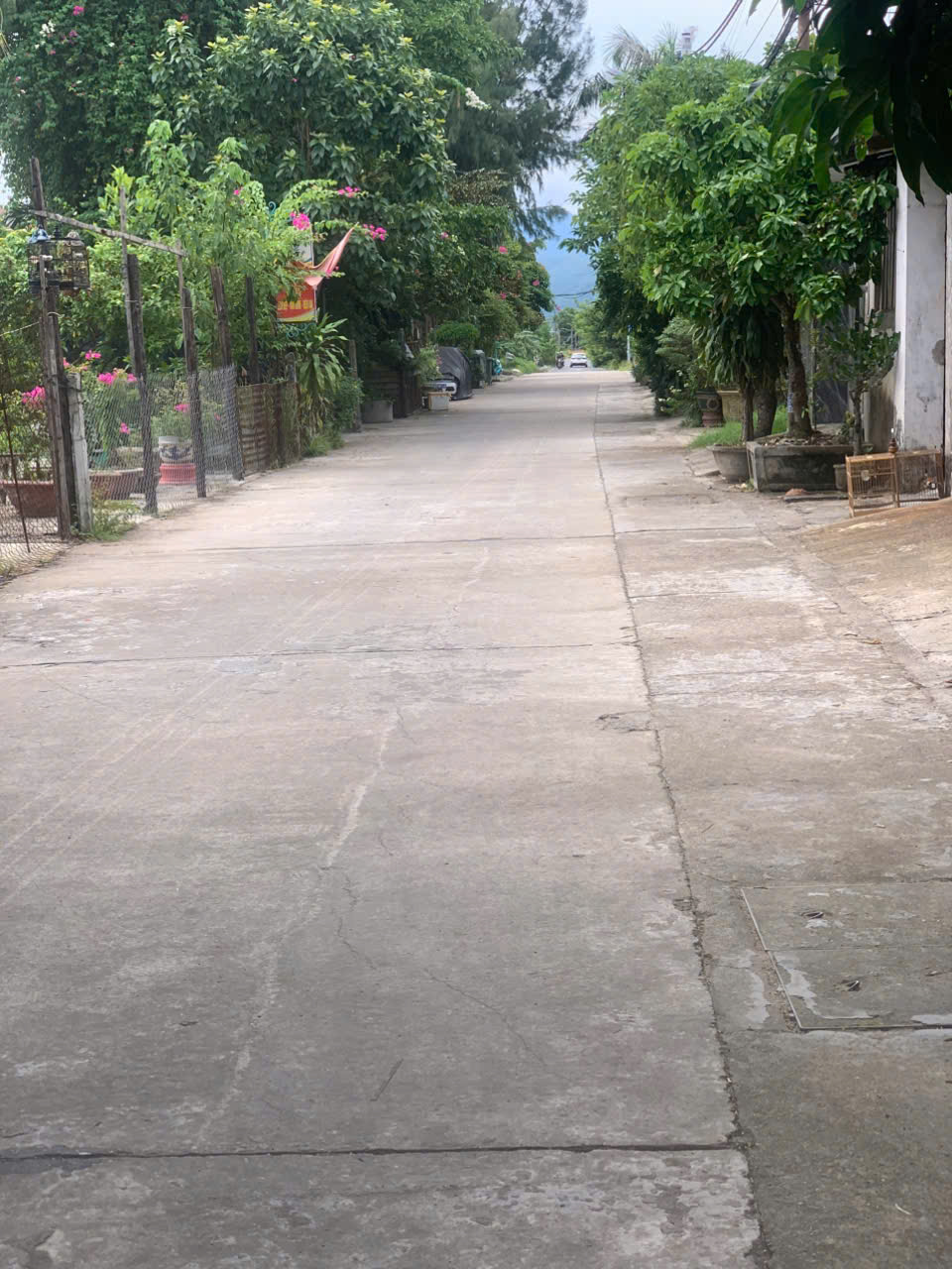 z6993113575950_0736212014b9cd3d6374ecc198fd22b1