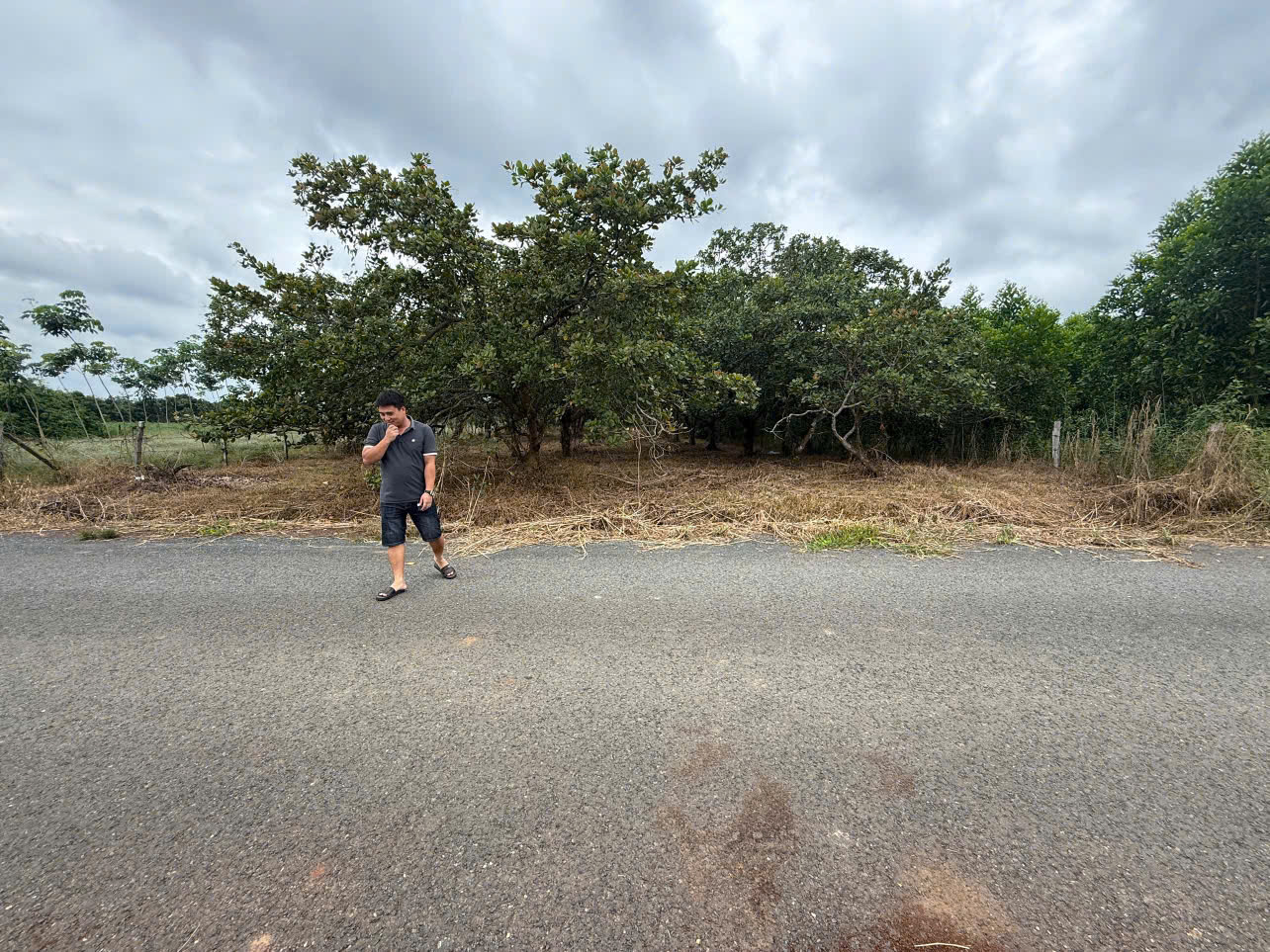 z6994026024870_6bcaa2556afca4a5d21dcc9d41cf29ad