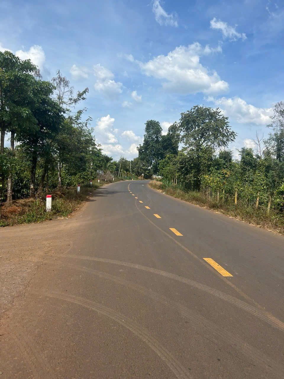 z6995185077729_376404e3606ba11c78fddc2788e56929