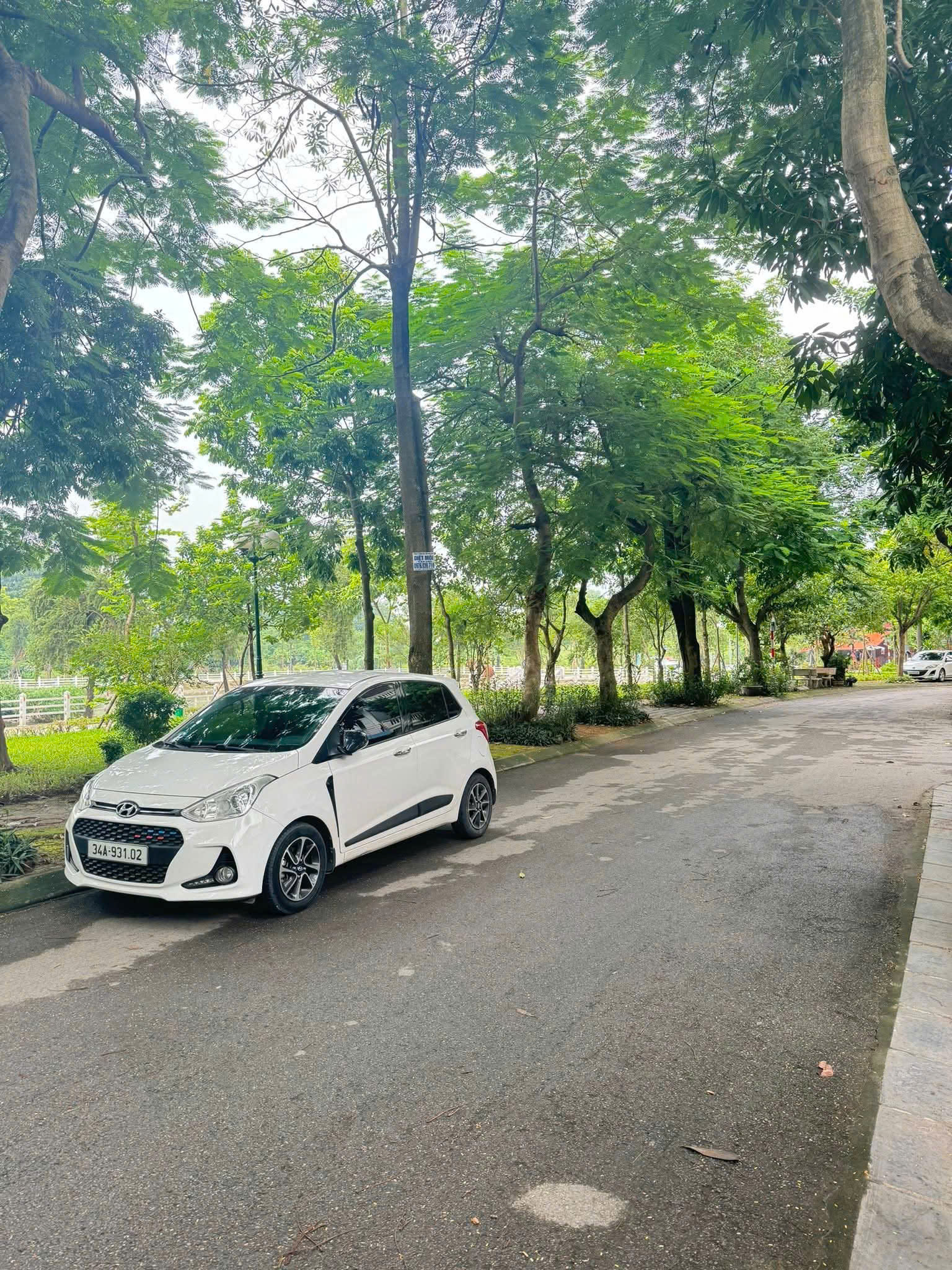 z6996082273363_219e384ac63d248380add2f6bf81398d