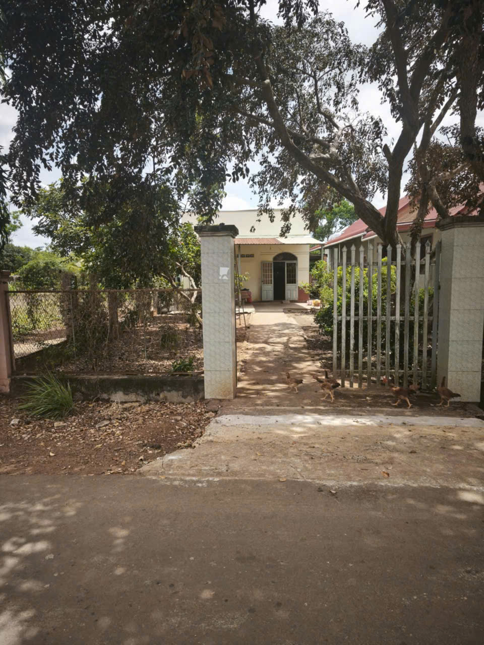 z6996520687813_fcc9346210621b7f5337d89e594f9916