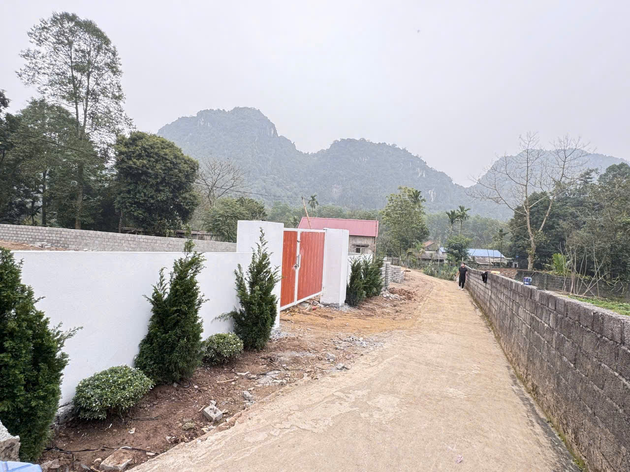 z6996591940555_024f2ee16827660d3effa73d18b70039