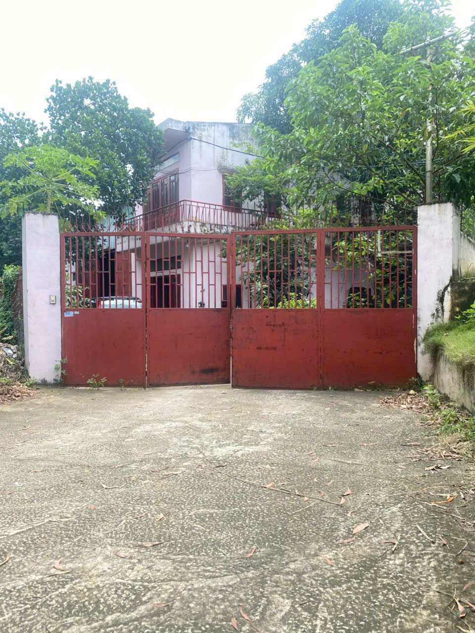 z6996833508445_273bd4b33eabf45ee01711da18a3b19e