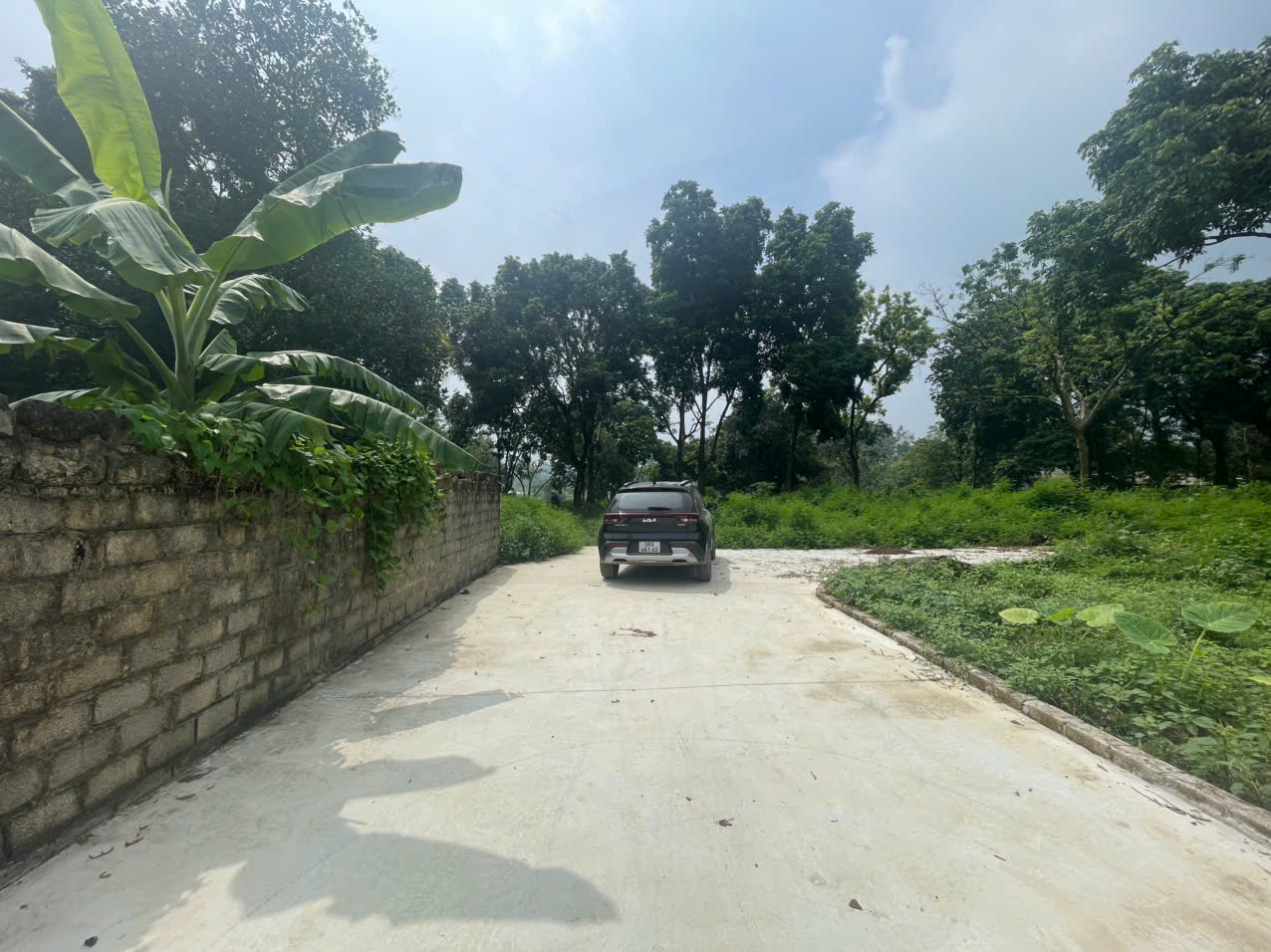 z6998457598082_a1b9e195a17a7c49a559e97e8ac998e6