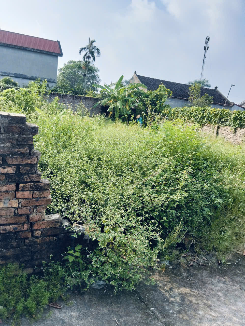 z7000014897658_42d5bb928283e7bfd3870a8f818a79e3