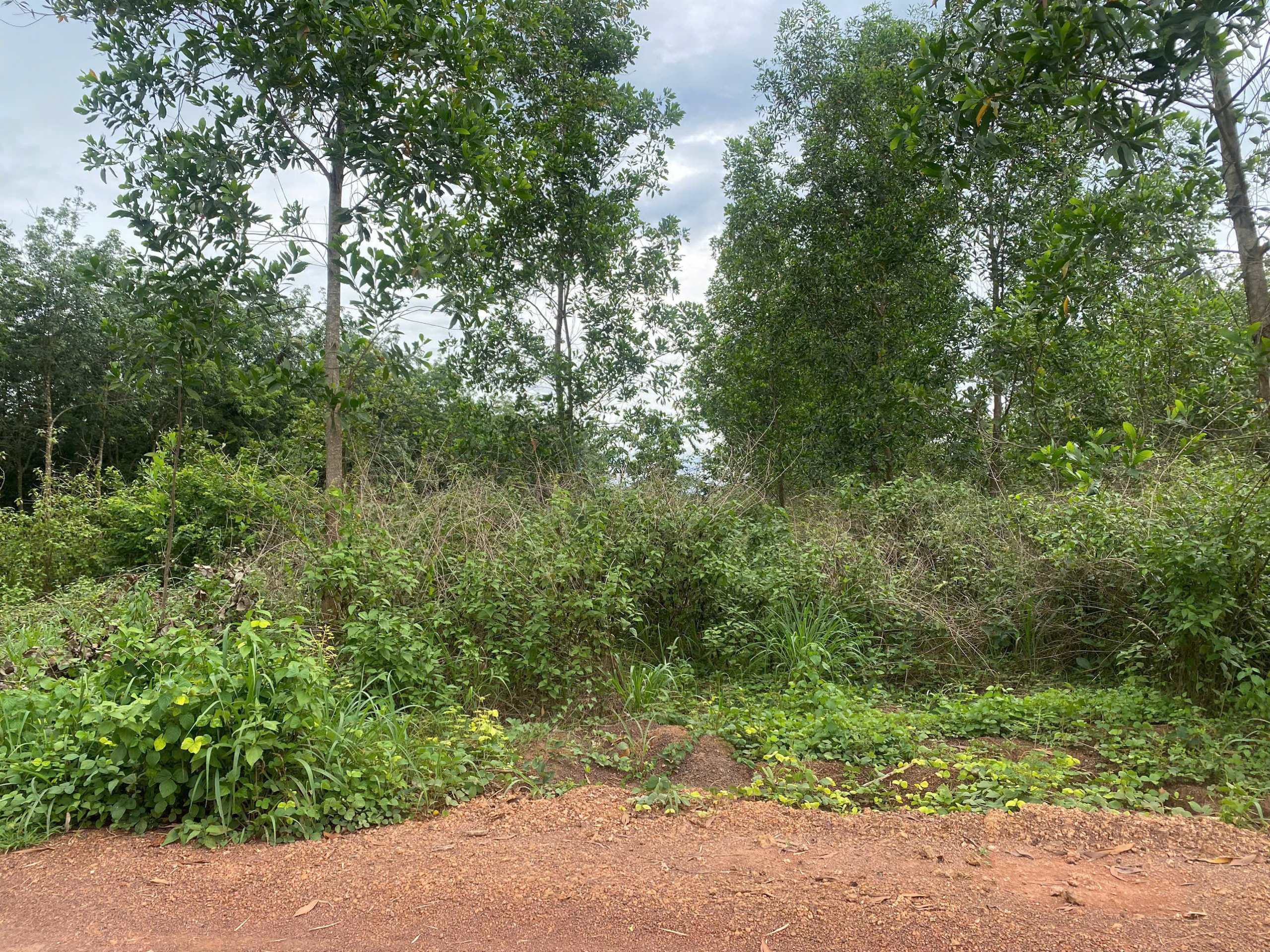 z7000199867227_5aad7c79abedb44ba737beb424263f59