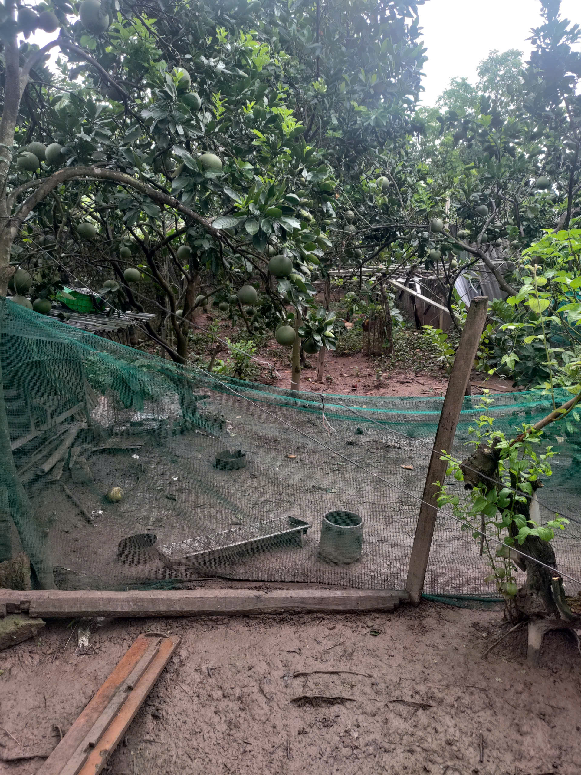 z7001086937101_cb1b34f4429fb1a013974c4fccf211e9