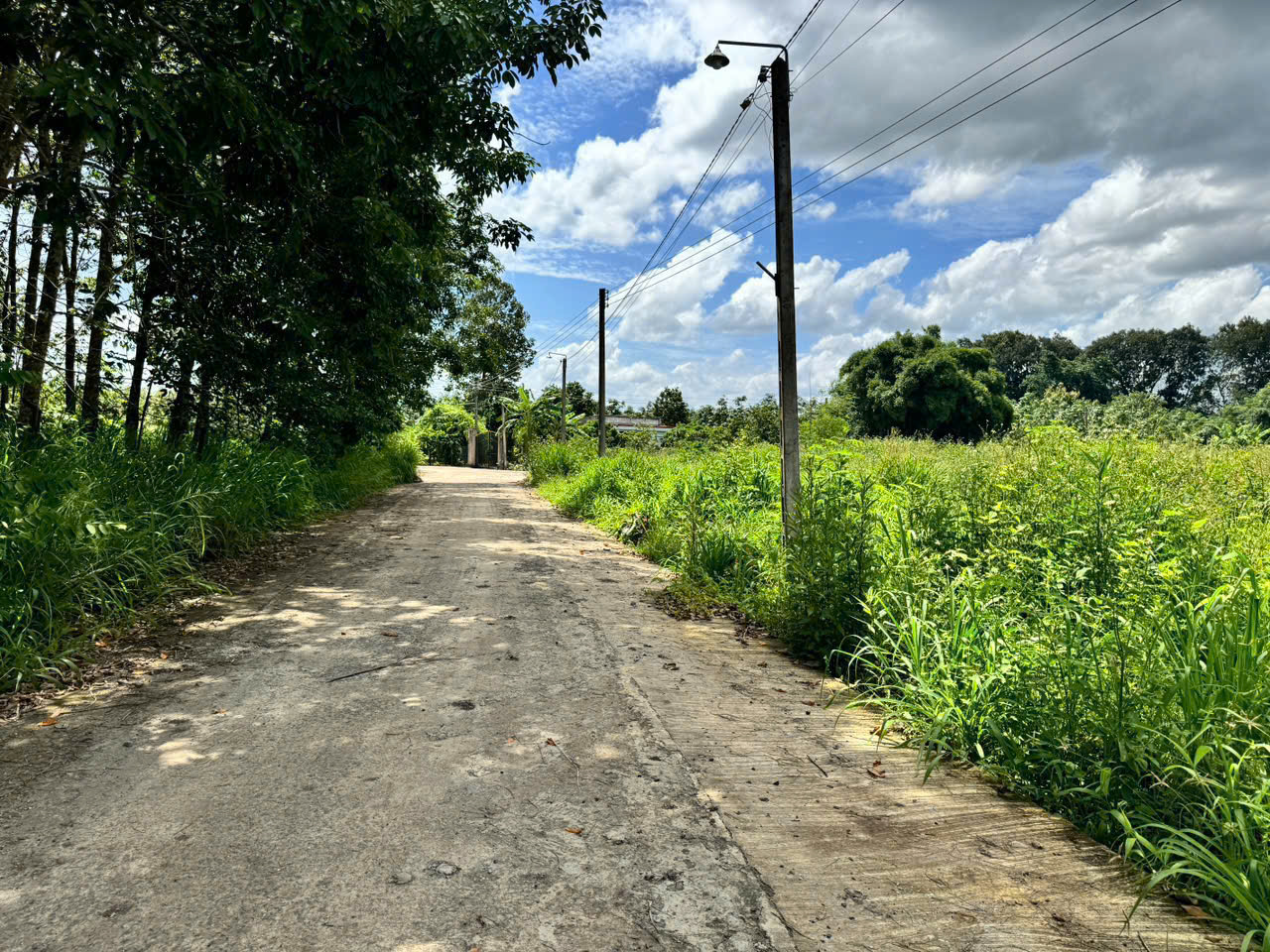 z7001312926297_c4d8430d56aa47e9fe2646a3d415db3f