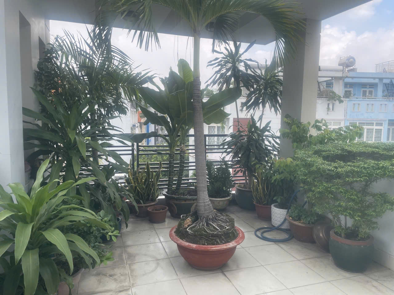 z7001391531729_d0a8268ff426f525e7b45658ce163ece