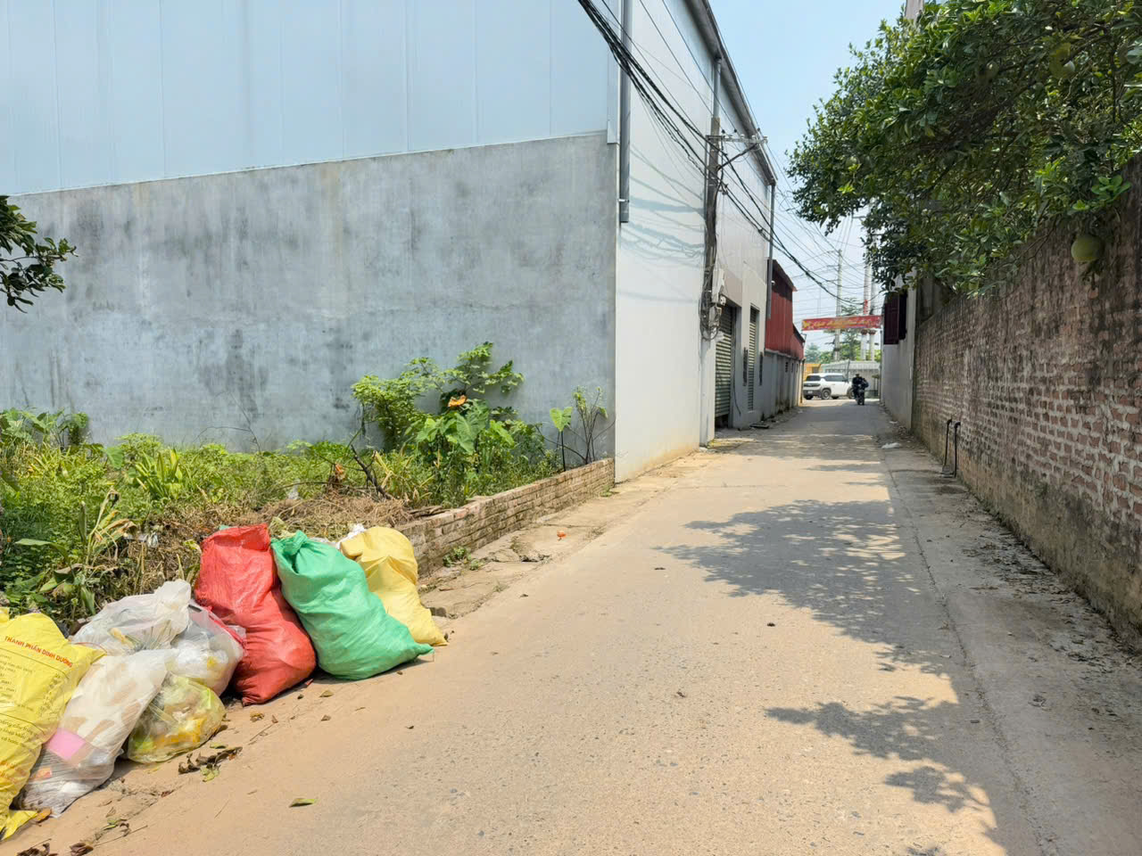 z7001980350201_2d1d3e33ee81fcea9fd69a3f4a47281b