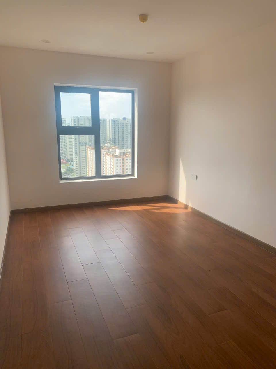 z7003009617019_68650ed16c0dfc5263a0a0b6341f3756