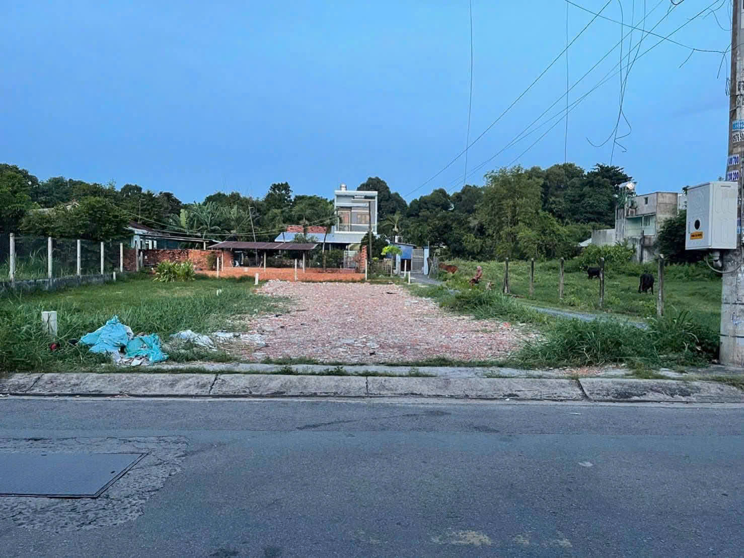 z7003087740962_abb39669e0e913d999be233999e12188