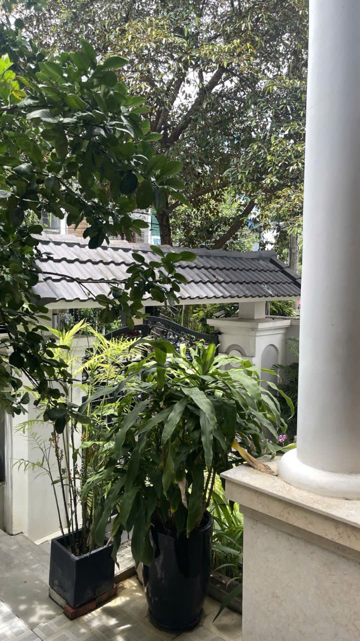 z7006501969680_f48b1937e5d84370db559a3c9c70c139