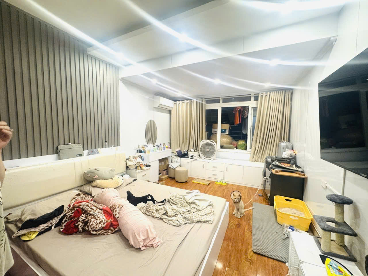 z7007981720762_839577cb9a02286c4b3ec81ad6a61d5dnkt