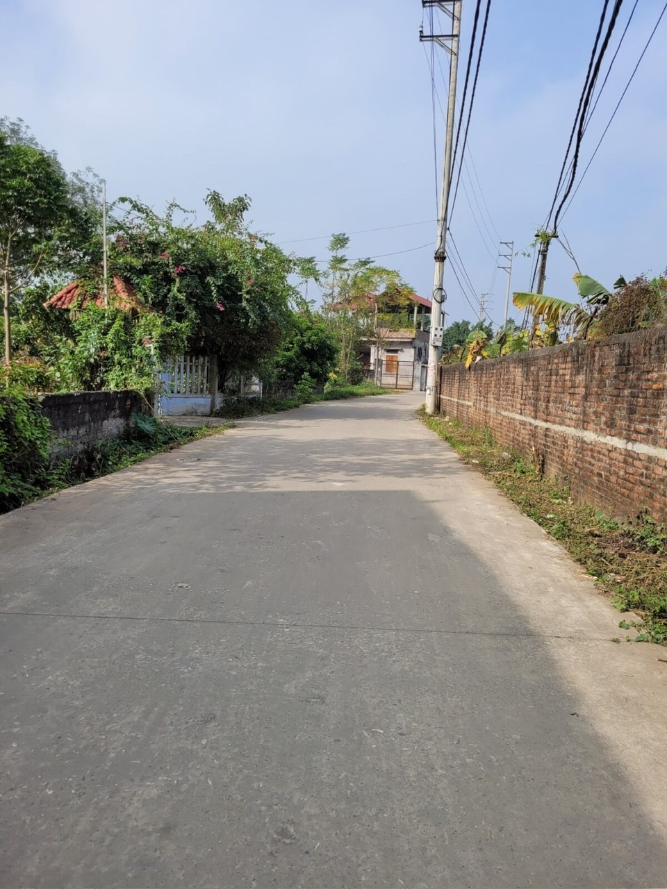 z7009055060158_761f0b2fe6615f47cdae1e942fb334e3