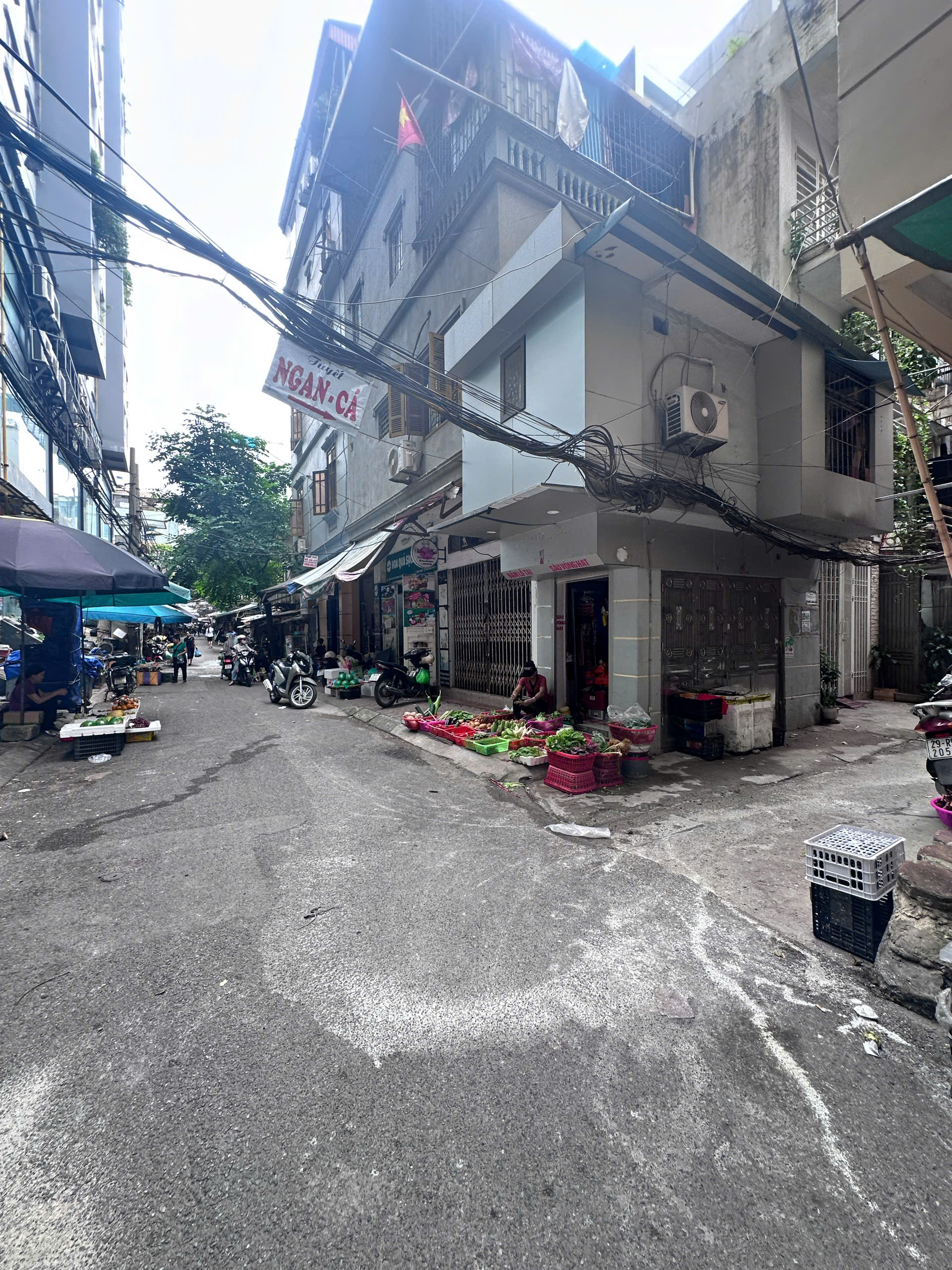 z7009132990767_b71e26782df6759a1c7739ad399cf642