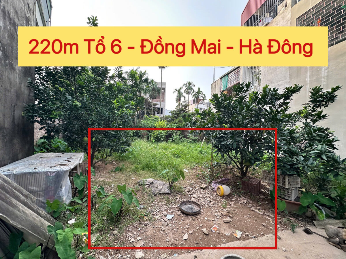 z7011696430078_3b4ba372823315fe6f6028445eab4d43