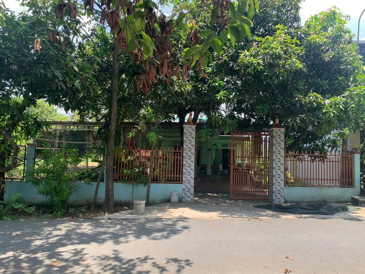 z7012977261670_7cf3a7635904c1374bf7a29aec21944f