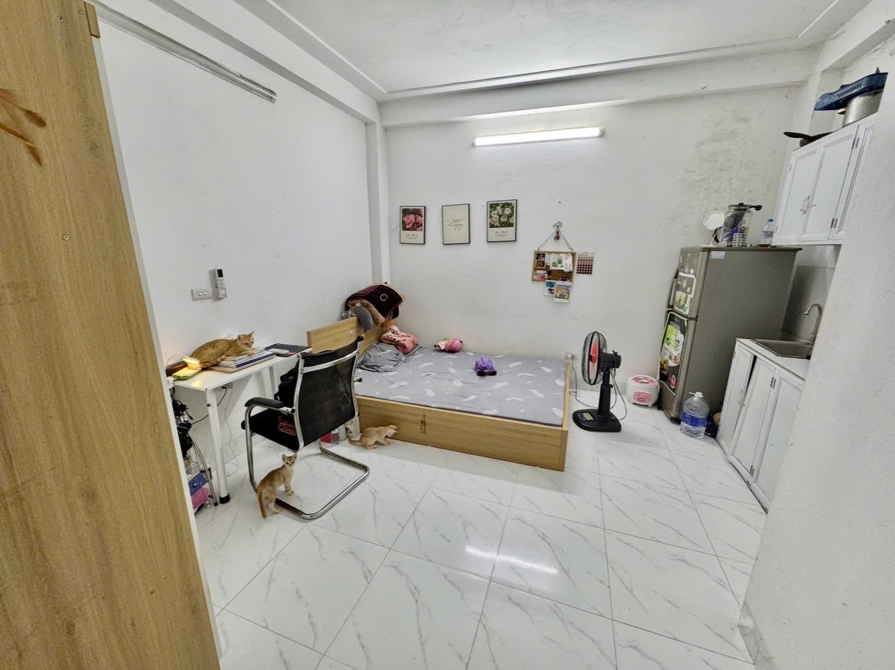 z7013668155146_161ef8edf7415ecc2bd6914b9047a74b