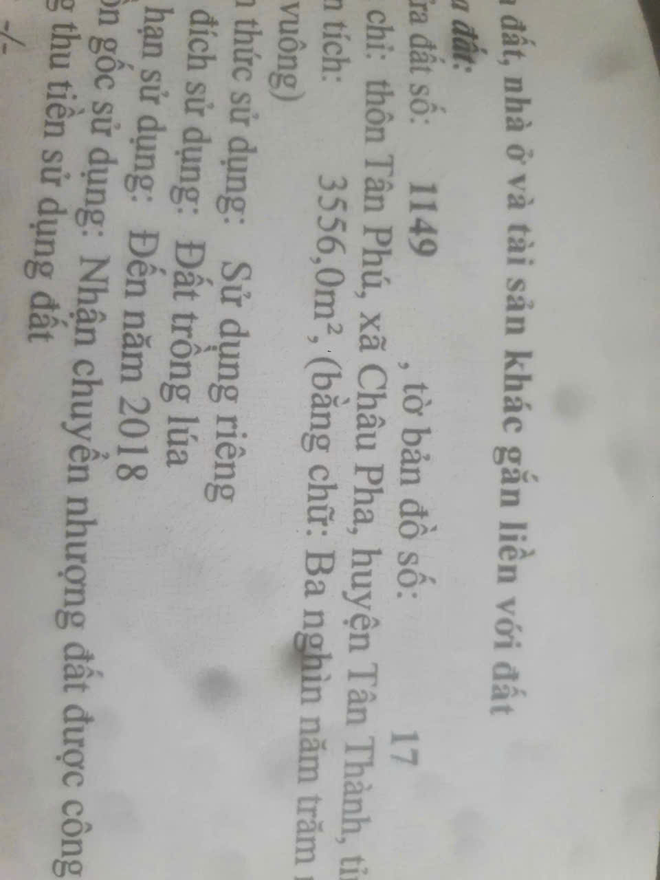 z7016404399532_95101141b9f910356474553548ce11eb