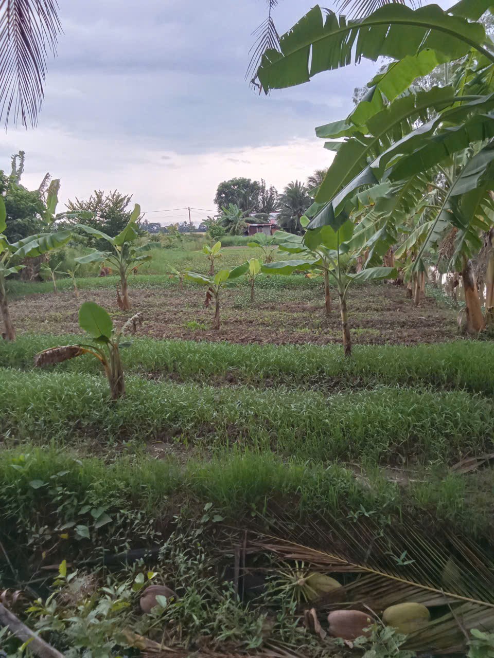 z7016792656485_f54bab59180ef6c61e656f39f9069bea