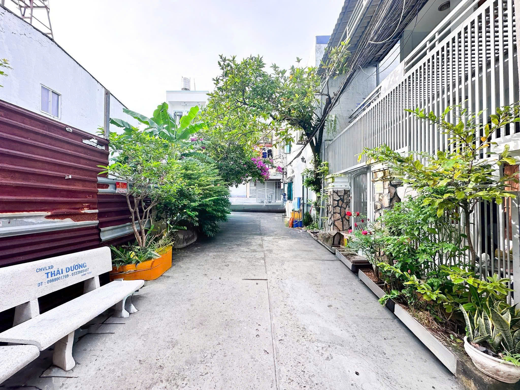 z7018163050158_d9439c8585aac0fe1e8e16571f394f78