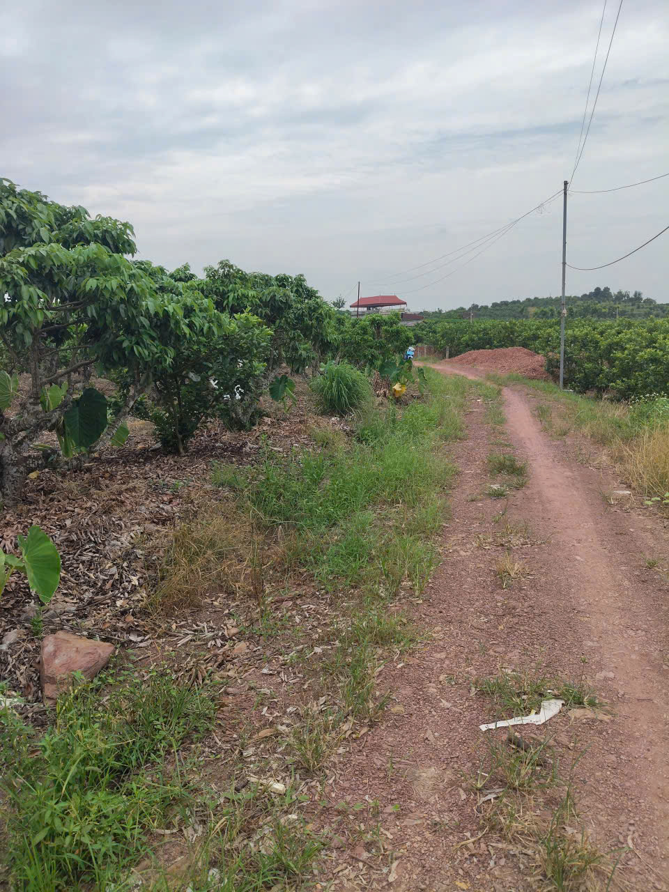 z7019627313374_b9085ff4e7abdab0c471d64159404753