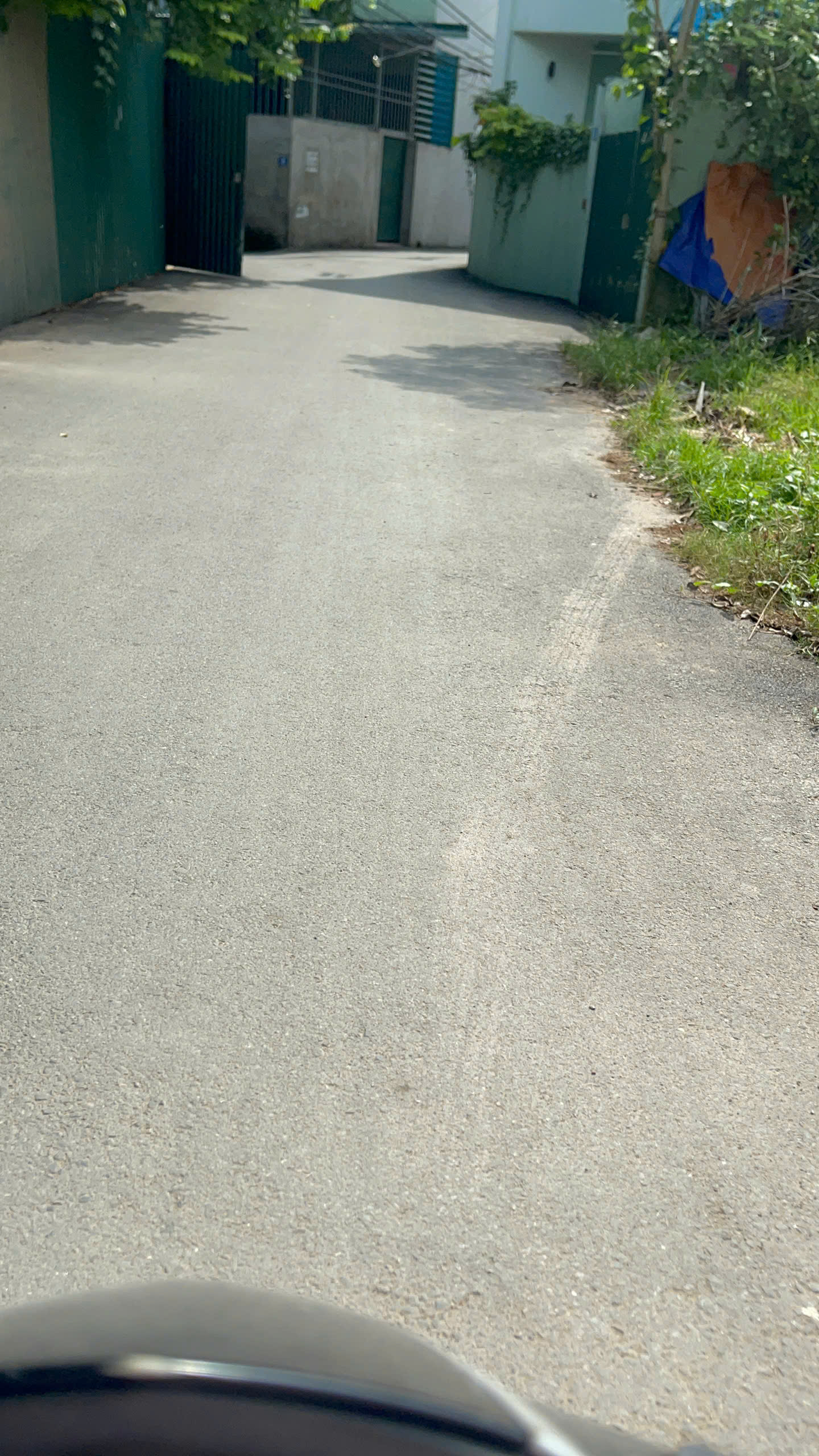 z7020851540546_a4f93351315b4c0e2cbc3ddbb46a3d6b