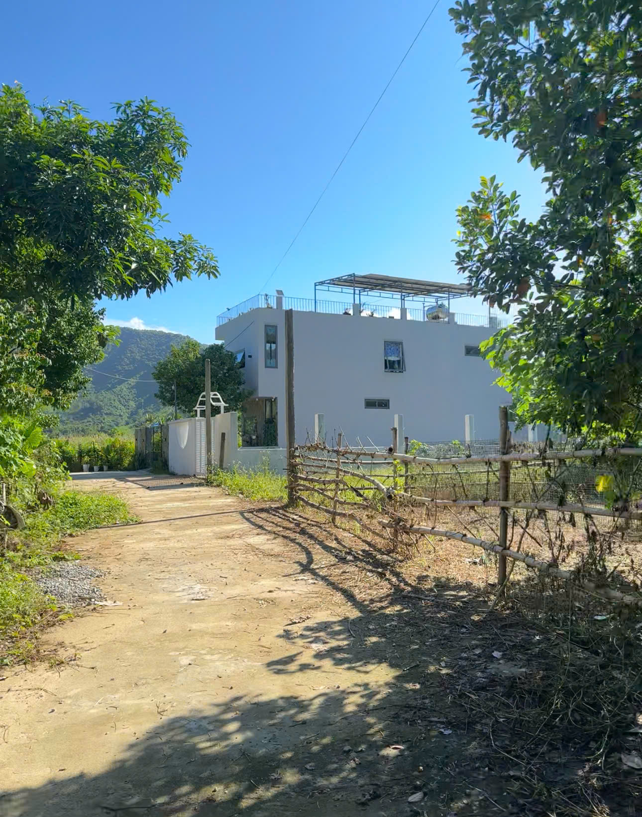 z7020858711868_9cbfa182b74f55d4444ee825e547149b