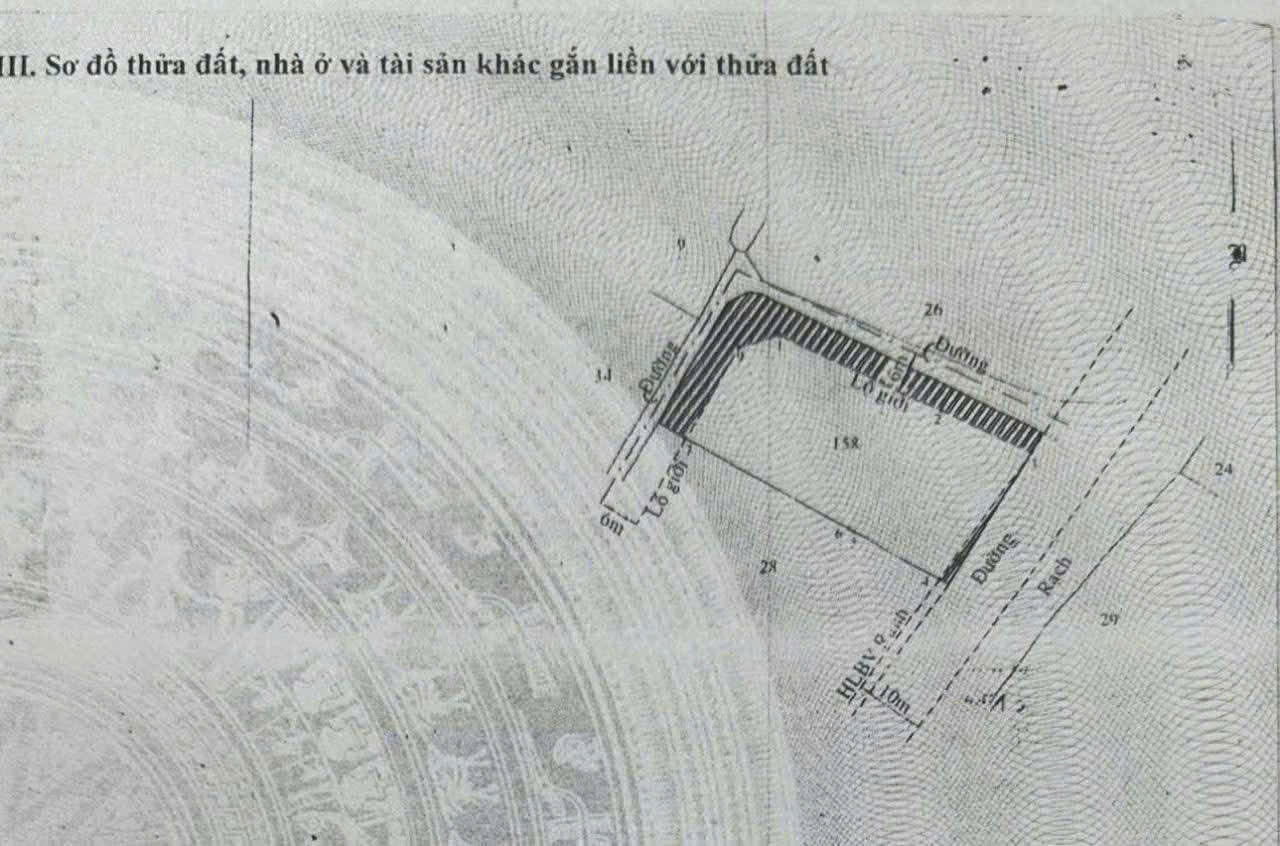 z7022499093727_f955b78ae844a38eaa9c18910d604480