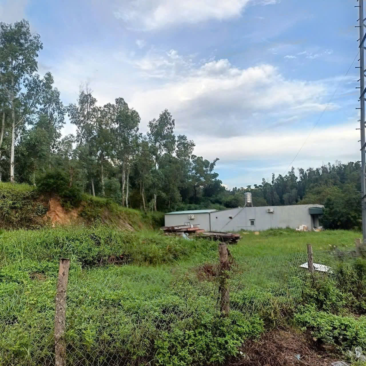 z7023374336374_7b536da0ffbc778997d2fa851dfaf4e1