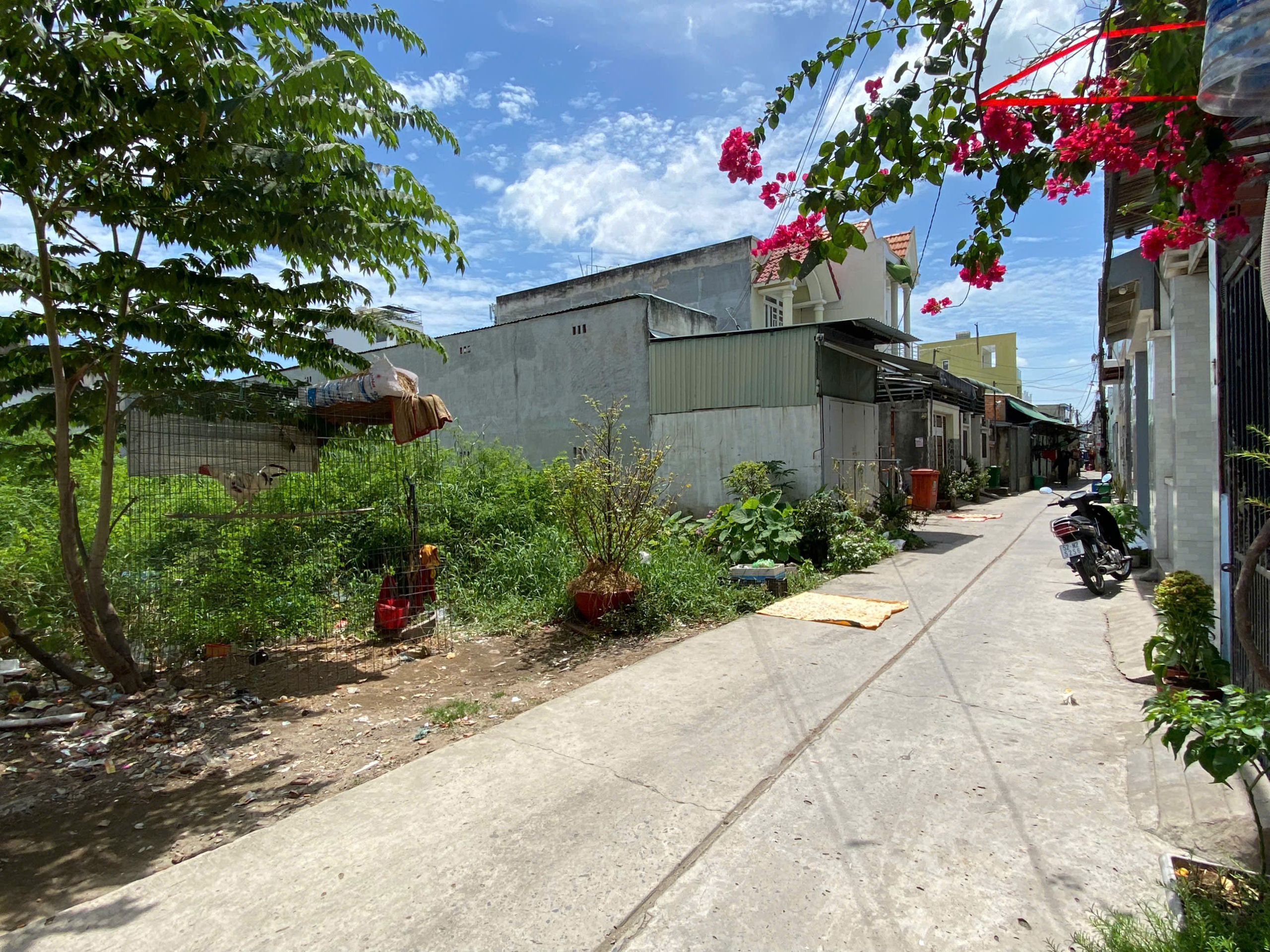 z7024010749837_e31d45969737583e663b1aaadfd8a673