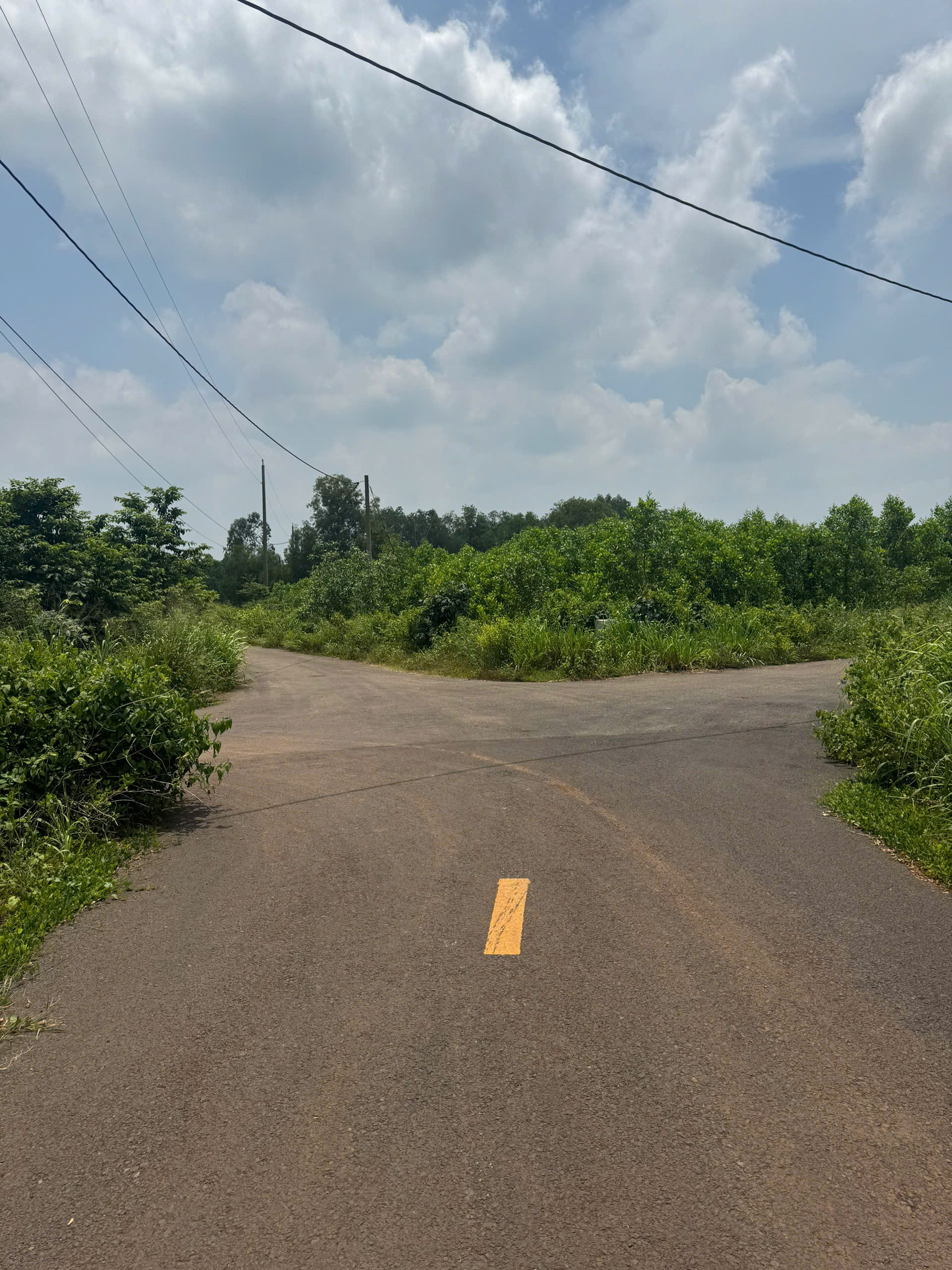 z7024144370577_27620206bb14c62bcca8de423fbb45c2