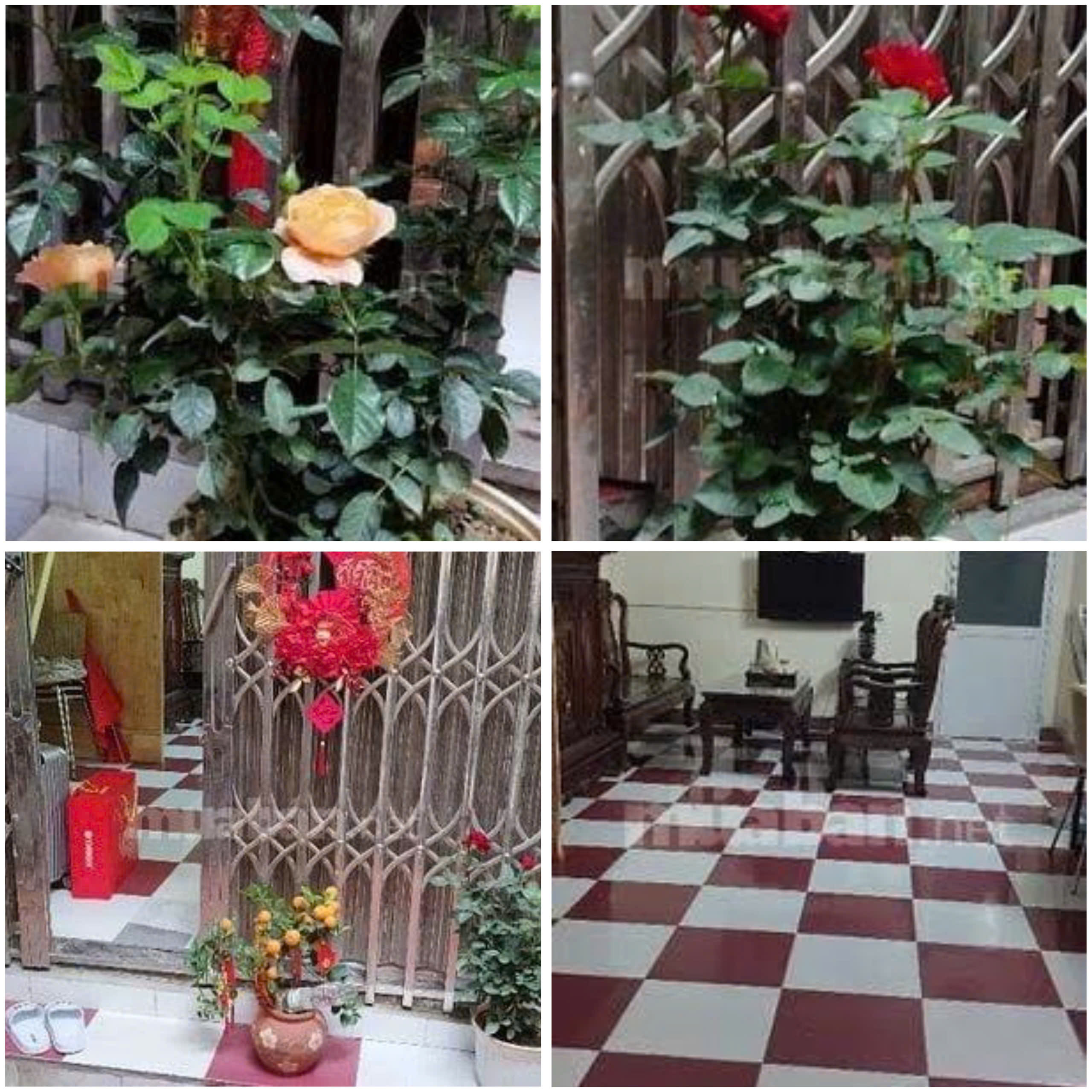 z7024272948227_51eb9cb1dc9c8beced0c3e811ebfdf81