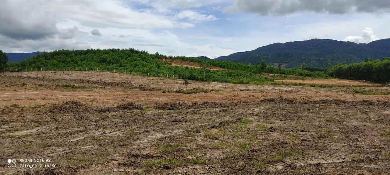 z7024641102635_9d7fd1722071fe493fcaf75b28ec747c