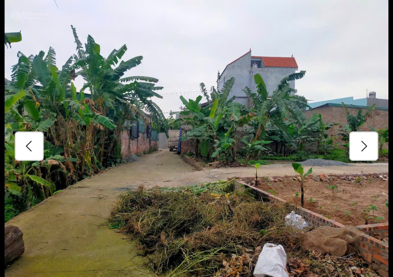 z7025187557224_eb5daeea25fb2a85cd09e29ead0c3d63